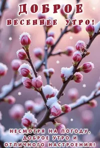IMG_1715.webp