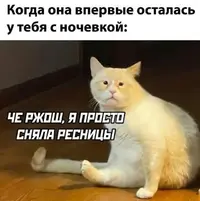 1000002053.webp