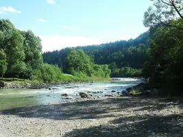 DSCF5085.webp
