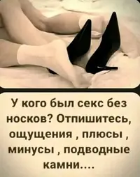 1000116062.webp