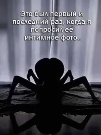 1000012910.webp