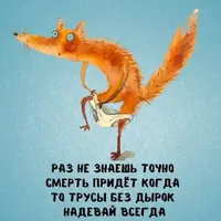 1000012271.webp