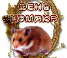 mKam05D6I24.webp