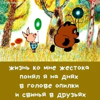1000116437.webp