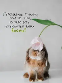 0408_075850_857.webp