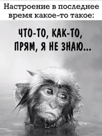 5c5d7aee33289056a845c0f0c6b24d9f.webp