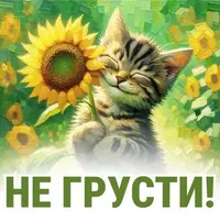 48dfc09d61c4da0edf1fc25d5e23ff83.webp