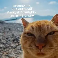 2facdd8cc17f5c6aa5652f7a3b5492a2.webp