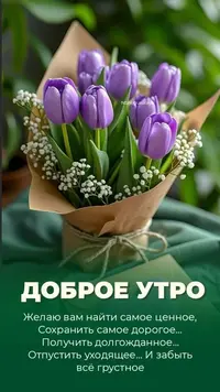 323_082419_536.webp