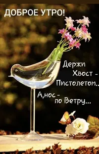 IMG_1834.webp