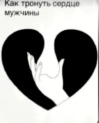 1000116072.webp