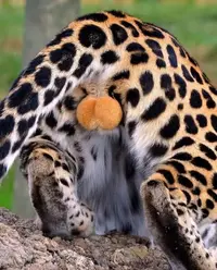 1000116495.webp