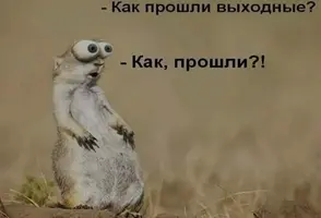 354ca709021dc96efd8926f3e2bd9317.webp