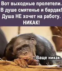 IMG_1845.webp