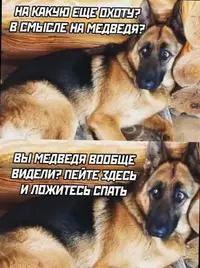 747b3f656eff16526be7d76db127f446.webp