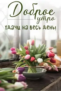 4fgJD32SYy0.webp