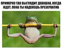 2583856924.webp