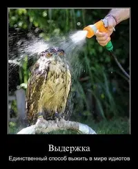 getImage (52).webp