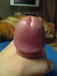 Sm2m0EgwOA8.webp