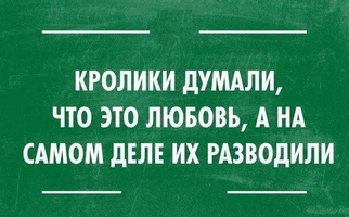 VK_Saved_Photo_ 636194929059191376.webp