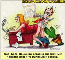 image(37).webp