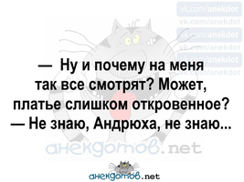VK_Saved_Photo_ 636189129287435320.webp