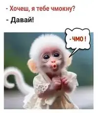 Без названия.webp Без названия.webp