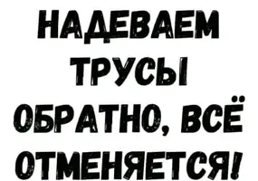 FB_IMG_1744554963325.webp