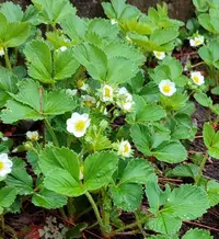 IMG_20250417_182222.webp