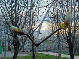 20250417193918.webp