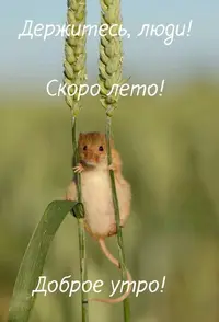 32b8e51eac13afdf856324038c7a6622.webp