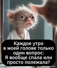 c9c56776437beb9ac40516fadd254316.webp