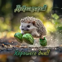 cc0df2b270a4cc8a33126178573b9ac2.webp