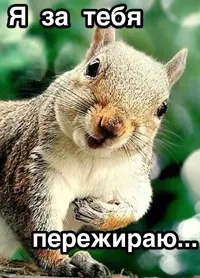 34390b966a10e2c6362c7f5ac87a0176.webp