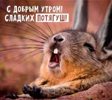 0fd2a735f4b21ea47a208def489727f4.webp