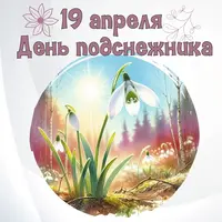 1200-001.webp