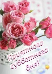 IMG_1949.webp