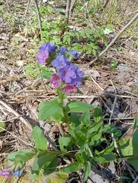 IMG_20250419_105855.webp