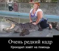 1000002326.webp