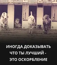 1000002329.webp