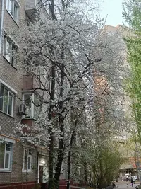 20250420193007.webp