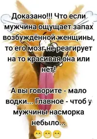 1000117720.webp