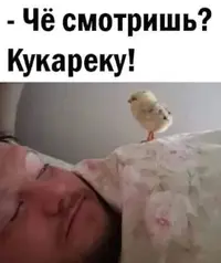 7572fd26d88c90a7d9c927eece01d055.webp