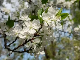 0422124906.webp