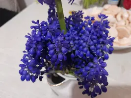 20250422_211339.webp