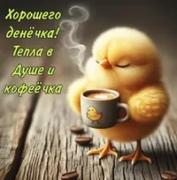 IMG_2018.webp