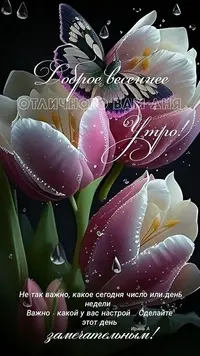 329_140233_990.webp
