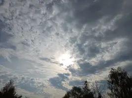 20250423083348.webp