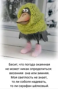 0424_093135_657.webp