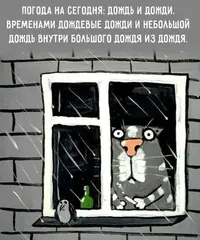 eca3bf28df168b06ea687a64513d1813.webp